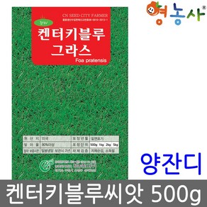 켄터키 블루그라스 양잔디씨앗 500g