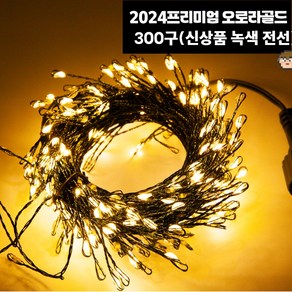 [2024신상 녹색 전선] 프리미엄 전구 300구 오로라그린 KC인증 어댑터별도, 2024프리미엄 지네전구(어댑터 미포함) 300구 1개, 1개