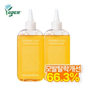 [공식] 스팀베이스 강황 쿨링 두피 워터 스케일러 모발탈락수개선, 2개, 250ml