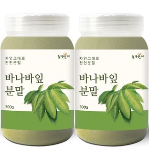 동의한재 바나바잎 분말 가루, 300g, 2개