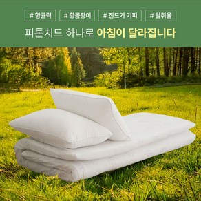 르헤브 피톤치드 진드기방지 압축 항균 요솜