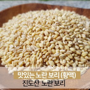 진도 노란보리 찰보리 햇곡 잡곡쌀 1kg [23년산 출하], 1개