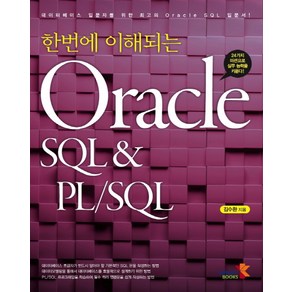 한번에 이해되는 Oacle SQL & PL/SQL:24가지 미션으로 실무 능력을 키운다!, 인피니티북스