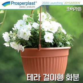 [조이가든] Pospeplast 테라 걸이형 화분, 브라운