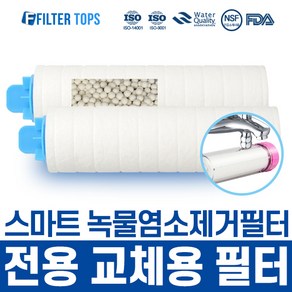 스마트 녹물염소제거필터 FTS-2000 리필필터 유충제거, 일반형 3개, 1개