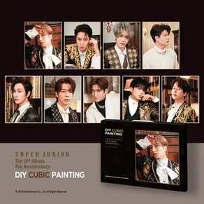 DIY 보석십자수 캔버스 슈퍼주니어 40x50, 1개, 신동, 시원