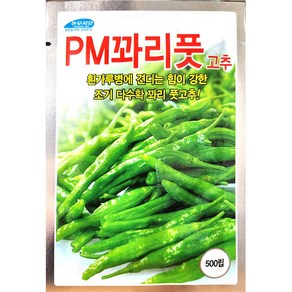 피엠꽈리고추 500립 농우 24년 고추 씨앗 고추종자, 1개