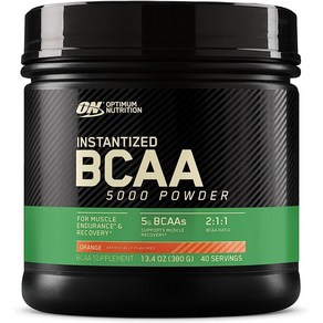 Optimum Nutition 옵티멈 뉴트리션 Instantized BCAA 5000 파우더 40회분 13.4oz(380g), 1개