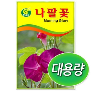 대용량 나팔꽃 100g, 1개