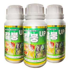 칼슙비료 붕소비료 칼붕업500ml 3병 고추 배추 마늘 양파 전용 칼슘 비료, 3개, 500ml