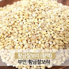 진도장모와서울큰사위 황금찰보리 노란보리 찰보리 쌀 1kg 부안 24년산 햇곡 출하, 1개