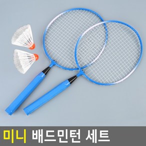 DAIJJI 미니 배드민턴 세트 랜덤색상 초보입문 어린이용