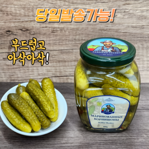 파머 시크릿 거킨 오이 피클 480g FARMERS SECRETS PICKLED GHERKINS 480g, 1개