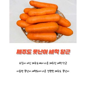 나눔농산물 제주도 구좌 경남 강원도 못난이 쥬스용 당근 3kg 5kg 10kg, 1개, 못난이 쥬스용 5kg