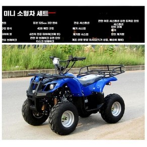 사륜오토바이 125cc ATV 농업용 팜트럭 4륜 사발이 커버 바이크, 1. 리틀 불 패키지 1