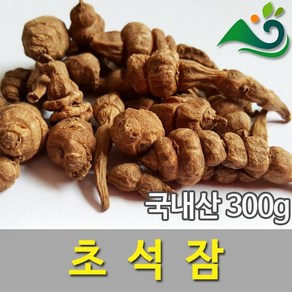 골뱅이형 초석잠(300g)-국내산