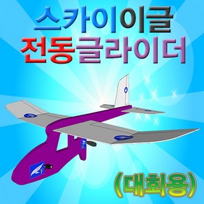 스카이이글 전동글라이더(대회용)/ST