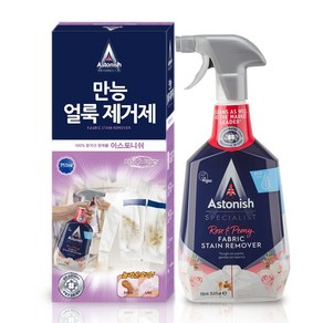 아스토니쉬 기름때 클리너 750ml 1+1 기름제거제, 2개