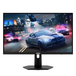 MSI FHD IPS 170Hz 무결점 게이밍 모니터