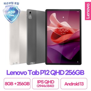 [Lenovo Cetified] 레노버 P12 QHD 256GB 국내정발, 그레이