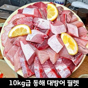 [간이베어] 동해산 제철 10kg급 대방어 필렛 산지직송, 1개, 500g