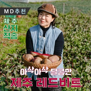 제주 햇 레드비트 산지직송 5kg 10kg 특품, 1박스