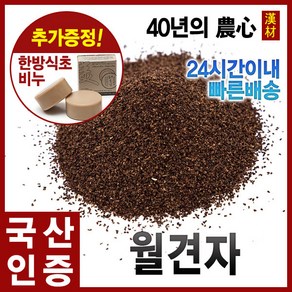 자애인 국산 월견자 600g 달맞이꽃씨 경북의성