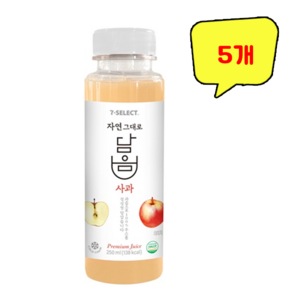 자연 그대로 담음 사과주스 250ml, 5개