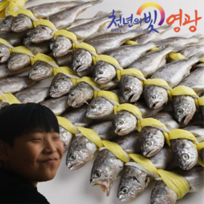 [주영광굴비수산] 국내산 법성포 영광굴비세트 20미 40미 가정용 실속선물세트 참조기 영광굴비직판장 산지직송, 40개, 3.2kg
