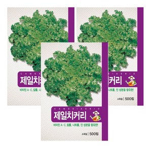 치커리 씨앗 3개입