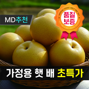 [[초특가행사상품]] 달콤한 가정용 햇배, 1박스, 가정용 햇 배 5kg