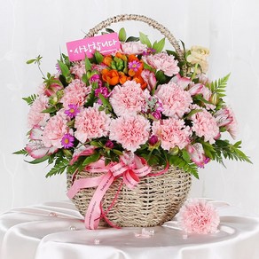 전국당일도착 카네이션 꽃바구니 생화 화분 꽃다발 선물 어버이날 스승의날 꽃배달 서비스 (99플라워), 1개, 17.[A1870]-마음의 꽃 카네이션