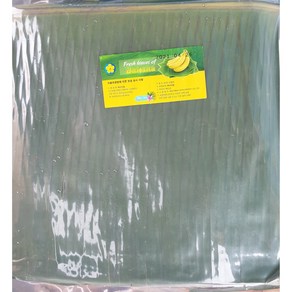 베트남산 바바나잎 Fresh Banana Leaves 1kg