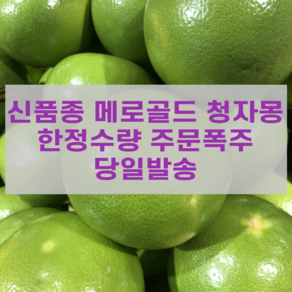 [고니네농수산] 최상품 메로골드 청자몽, 6개, 1박스