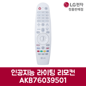 LG전자 엘지 정품 빔프로젝트 인공지능 라이팅 리모컨 AKB76039501