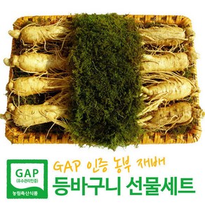 [GAP 농부 재배 인삼] 6-5년근 수삼 특대 3호(750g 7- 8뿌리) 인삼선물세트 등바구니+고급케이스+보자기 3중포장 엄선된 인삼으로포장 설 명절선물 이바지용, 1세트, 750g