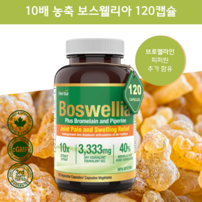 보스웰리아 3300mg 120식물성캡슐 10배 농축 보스웰릭산 브로멜라인 피퍼린 허바캐나다, 1병/120정, 1개