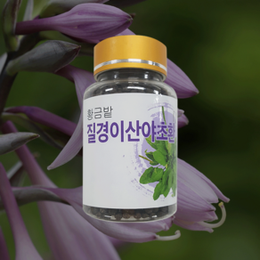 국내산 100% 질경이산야초환 100g, 1개