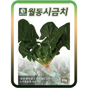 월동시금치씨앗 40g 노지월동용시금치 추파용 동초 채소종자, 1개