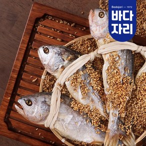 영광 법성포 부세 보리굴비 특대 프리미엄 10마리, 특대(28~30cm 10마리), 1개