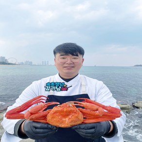 속초 선밀수산 제철 홍게 게 프리미엄 일반형 라면용 자숙 2kg 3kg, 1개, 일반형 3kg(7~10미) 자숙