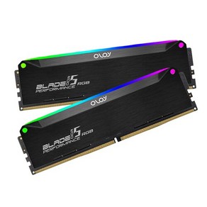 OLOy DDR5-6400 CL32 BLADE RGB Black 패키지 (32GB(16Gx2)), 2개