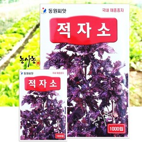 차조기 자소엽 향신채 종자 적자소 씨앗 1000립, 1개