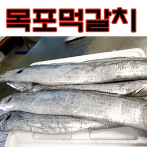 목포 먹갈치 중대사이즈 5마리 손질진공급냉