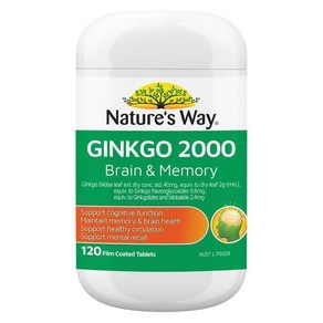 네이쳐스웨이 징코 2000 120정 Natues Way Ginkgo 2000 Bain & Memoy 120, 1개