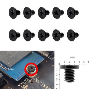 M.2 NVME SSD 전용 나사 십자형 10개입 블랙, NVMe 나사, 123456TB