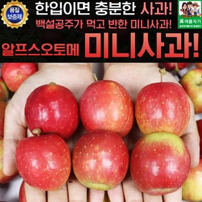 영천 한입 알프스오토메 미니사과 왕 2kg 40g내외, 1개, 알프스오토메 왕 2kg 40g내외