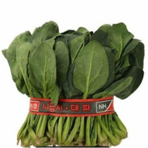 [싱글벙글] 시금치1단, 300g, 1개