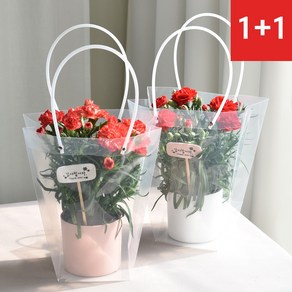 필플랜트 카네이션 생화 화분 1+1, [1+1] 카네이션 세트(화분커버/핑크)