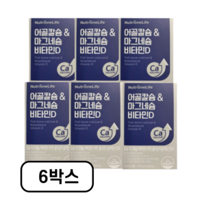 [본사출고] 뉴트리원 흡수빠른 어골칼슘 칼슘 마그네슘 비타민D 아연 활력환 기획세트, 3개, 120정